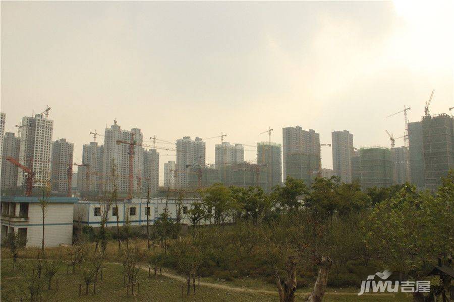 杭州江南之星最新消息,杭州江南之星最新消息，科技重塑生活，体验未来智能魅力