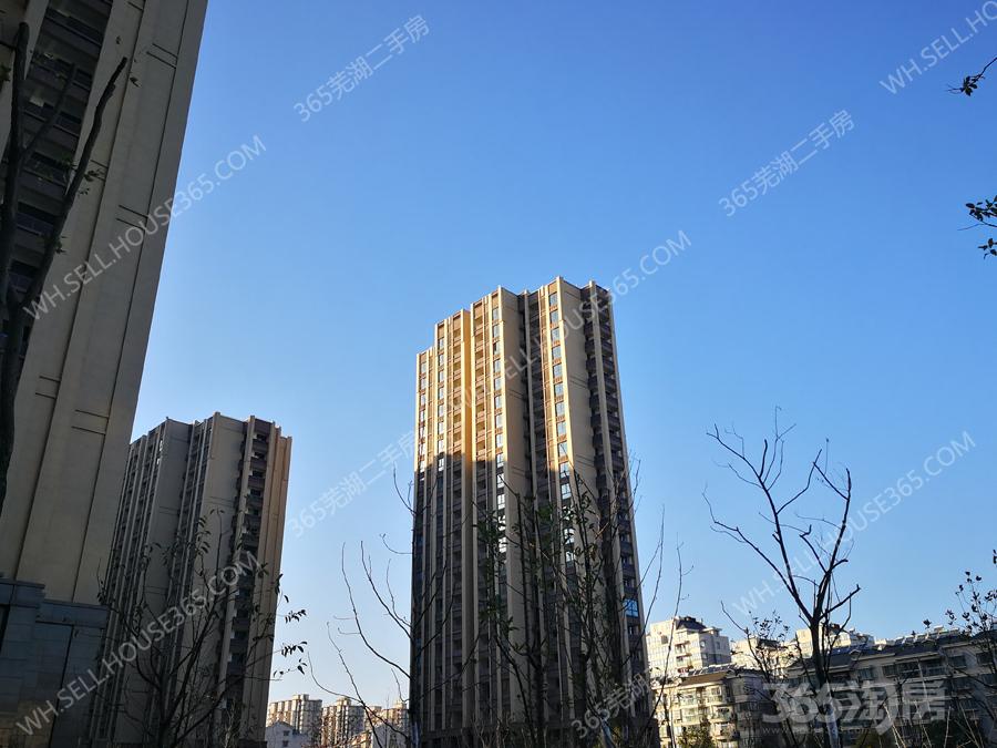 芜湖赭山春秋最新动态,芜湖赭山春秋最新动态，探索自然美景，寻找内心平静