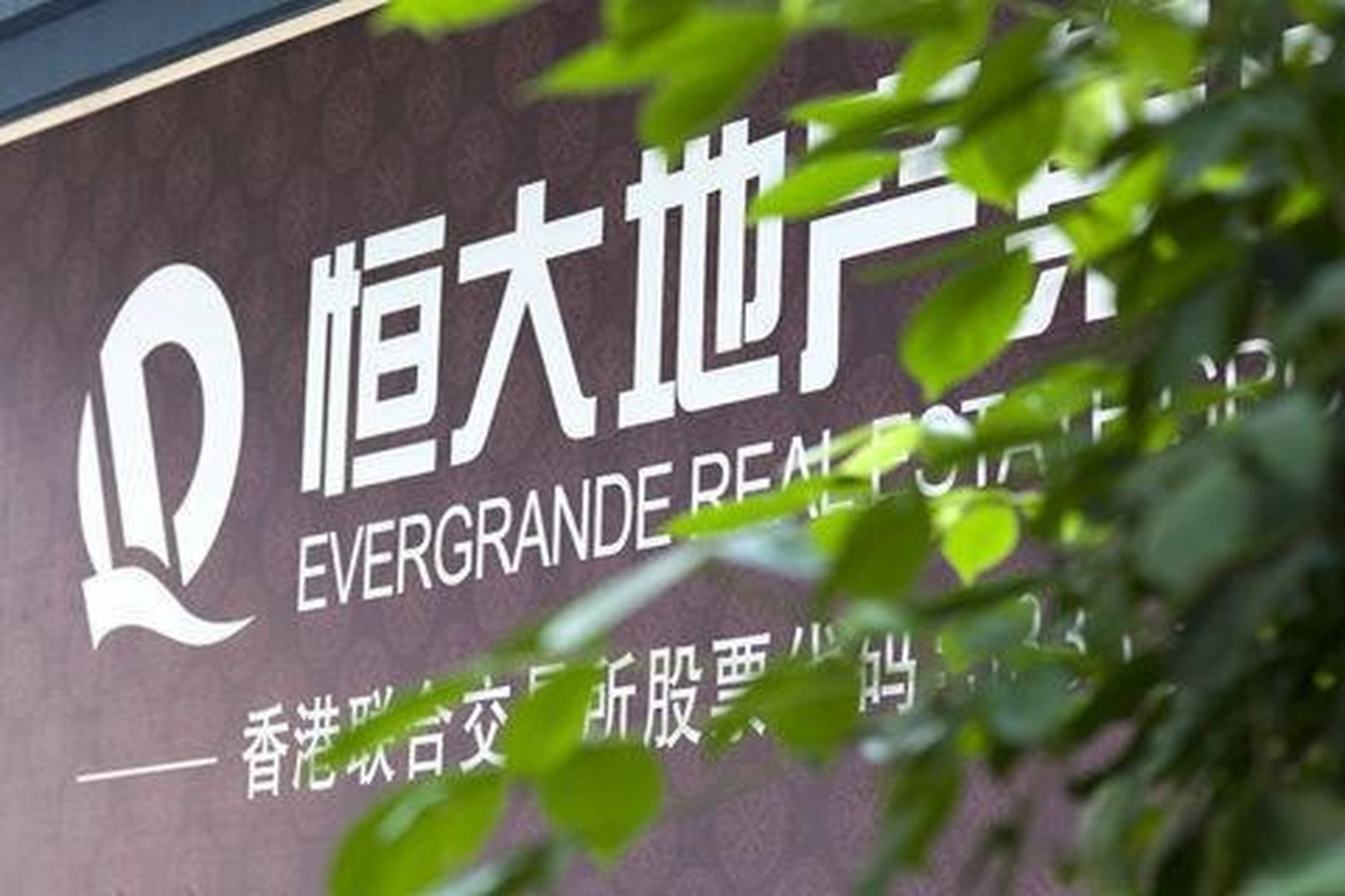 恒大地产最新新闻,恒大地产最新新闻，小巷深处的绿色宝藏，一家特色小店的独特魅力