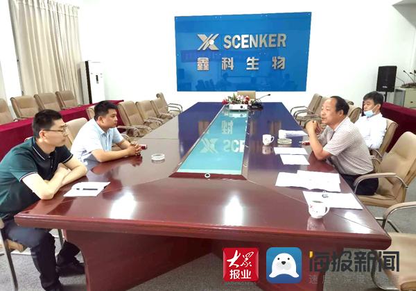 聊城租房信息最新动态,聊城租房信息最新动态，租房步骤指南