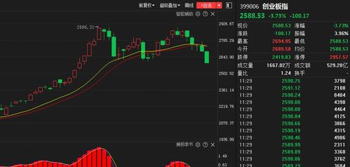 股票跳水什么意思,股票跳水背后的故事，一个关于友情与陪伴的温馨日常
