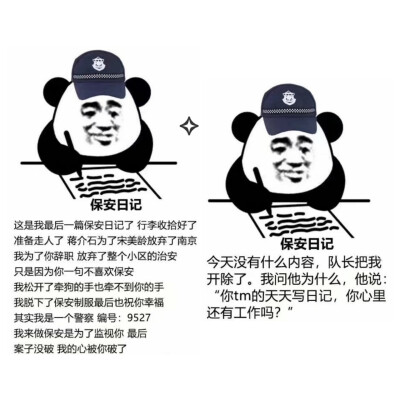 保安日记最新,保安日记最新，记录安全守护的每一刻