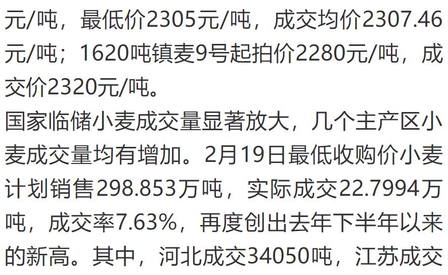 今日小麦期货价格行情大幅上涨,小麦的奇妙旅程，一个关于爱与陪伴的温馨故事
