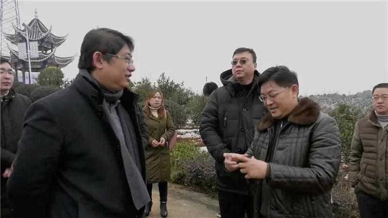 东旭集团上市公司,东旭集团上市公司，探究其发展与影响