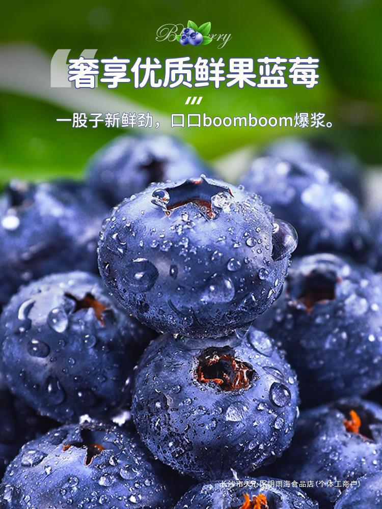 蓝莓手机新款发布,蓝莓手机新款发布，科技与时尚的完美结合