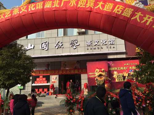 广水最新资讯,广水最新资讯，高科技产品璀璨登场，引领未来生活新潮流