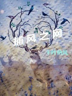 捕风新篇章,捕风新篇章，探索未来的无限可能