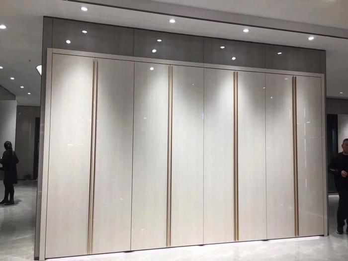 现代金属衣柜新品推荐,现代金属衣柜新品推荐，时尚与实用的完美结合