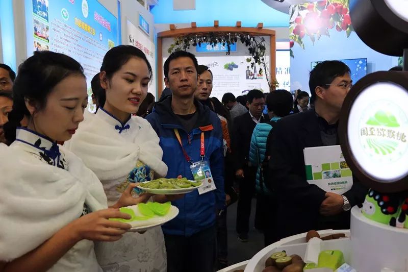 杨凌领导班子最新动态,杨凌领导班子最新动态，引领区域发展的卓越领导力